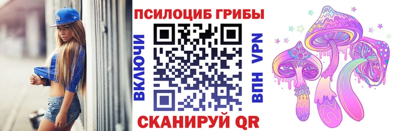 Галлюциногенные грибы GOLDEN TEACHER  Карачаевск 