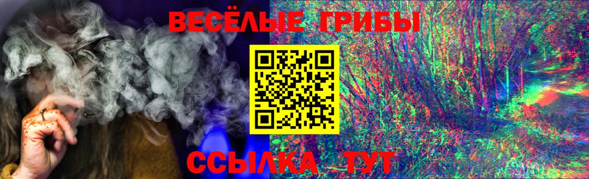 Псилоцибиновые грибы мицелий Карачаевск