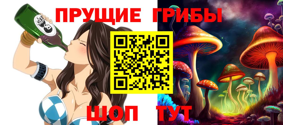 Псилоцибиновые грибы прущие грибы  Галлюциногенные грибы прущие грибы  Карачаевск  Вход с VPN 